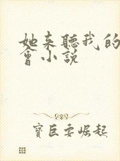 她来听我的演唱会小说