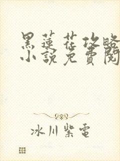 黑莲花攻略手册小说免费阅读