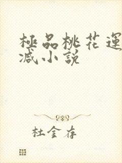 极品桃花运未删减小说