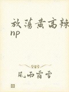 放荡黄高辣h文np