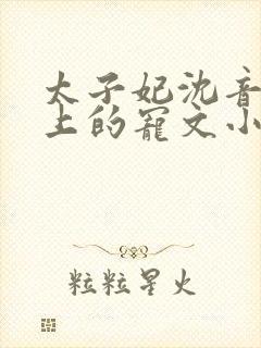 太子妃沈音和皇上的宠文小说