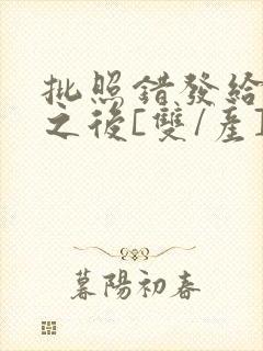 批照错发给情敌之后[双/产]