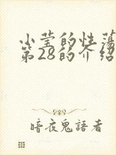 小莹的性荡生活第28的介绍