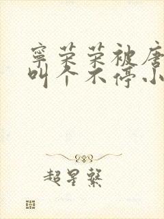 宁荣荣被唐三桶叫个不停小说