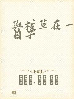 与校草在一起的日子