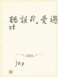 听说我爱过你txt