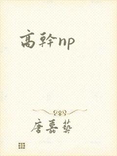 高干np
