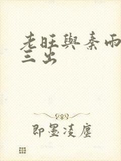 老旺与秦雨三进三出