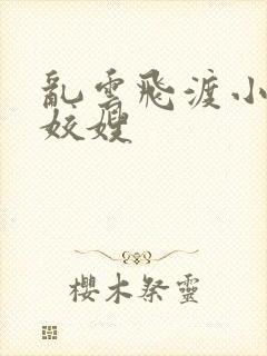 乱云飞渡小说之姣嫂