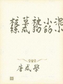 校草被小混混训练成狗的小说