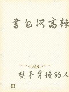 书包网高辣文