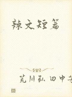 辣文短篇