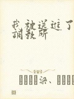 我被送进了私奴调教所