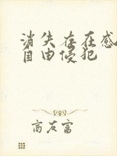 消失存在感消失自由侵犯