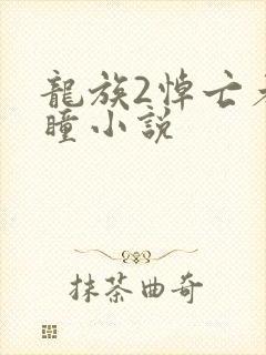 龙族2悼亡者之瞳小说