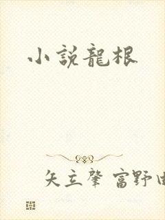 小说龙根