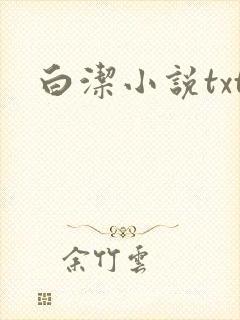 白洁小说txt