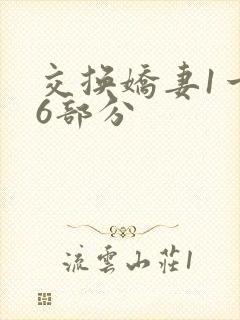 交换娇妻1一36部分