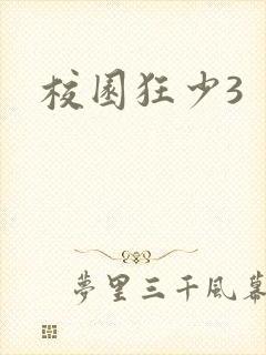 校园狂少3