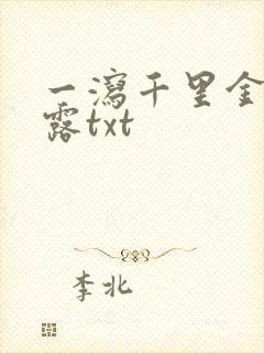 一泻千里金银花露txt