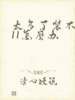 太多了装不下h11怎么办