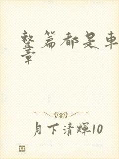 整篇都是车的文章