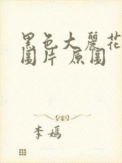 黑色大丽花真实图片 原图