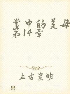 掌中的美母版主第14章