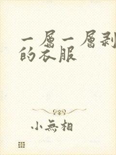 一层一层剥开你的衣服