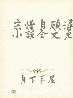 宋惜月顾浔渊的小说全文免费阅读