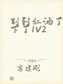 别到红酒了装不下了1V2