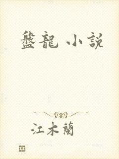 盘龙 小说