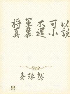 将军不可以魏云真慕迟小说笔趣阁