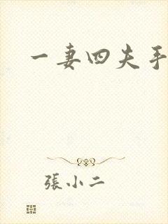 一妻四夫手记