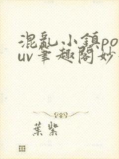 混乱小镇popuv笔趣阁妙妙