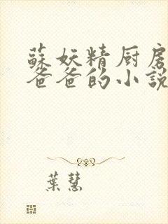 苏妖精厨房爹爹爸爸的小说