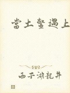 当土鳖遇上海龟