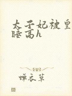 太子妃被皇上强睡高h