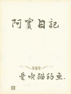 阿宾日记