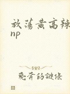 放荡黄高辣h文np