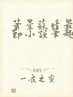 萧晨苏晴最新章节小说笔趣阁