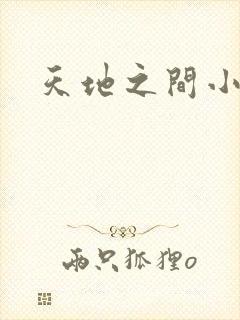 天地之间小说