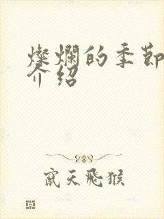 灿烂的季节剧情介绍