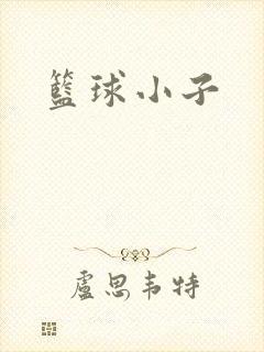 篮球小子