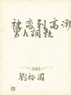 被脔到高潮的直男h调教