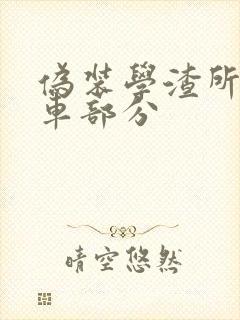 伪装学渣所有开车部分