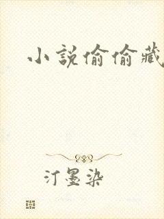 小说偷偷藏不住