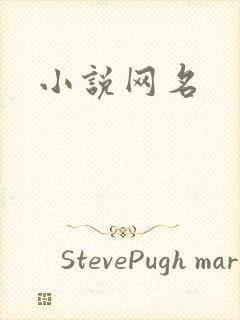 小说网名