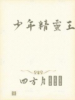 少年精灵王