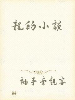 龙的小说